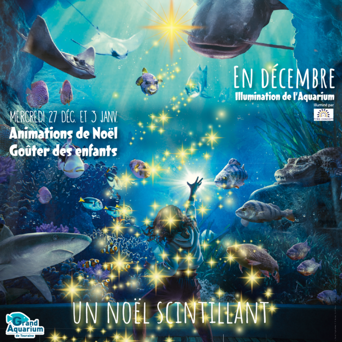 La méduse d'eau douce - Touraine Actualités